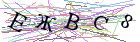Введите текст с картинки