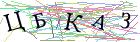 Введите текст с картинки
