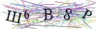 Введите текст с картинки