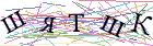 Введите текст с картинки