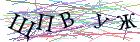 Введите текст с картинки