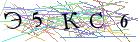 Введите текст с картинки