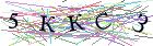 Введите текст с картинки