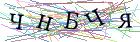 Введите текст с картинки