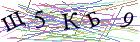 Введите текст с картинки