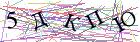 Введите текст с картинки