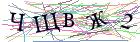 Введите текст с картинки