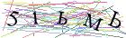 Введите текст с картинки