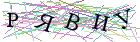 Введите текст с картинки