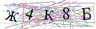 Введите текст с картинки