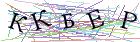Введите текст с картинки