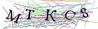 Введите текст с картинки
