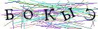 Введите текст с картинки
