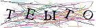 Введите текст с картинки