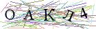 Введите текст с картинки