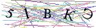 Введите текст с картинки