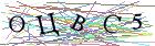 Введите текст с картинки