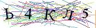 Введите текст с картинки