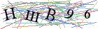 Введите текст с картинки