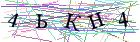 Введите текст с картинки