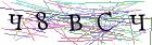 Введите текст с картинки