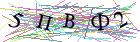 Введите текст с картинки