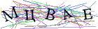 Введите текст с картинки