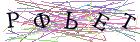 Введите текст с картинки