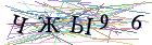 Введите текст с картинки