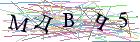 Введите текст с картинки