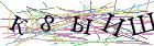 Введите текст с картинки