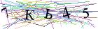 Введите текст с картинки