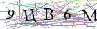 Введите текст с картинки