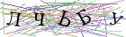 Введите текст с картинки