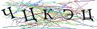 Введите текст с картинки