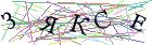 Введите текст с картинки