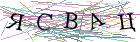 Введите текст с картинки