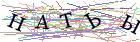 Введите текст с картинки