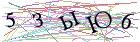 Введите текст с картинки