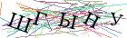 Введите текст с картинки