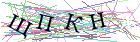 Введите текст с картинки