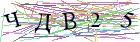 Введите текст с картинки