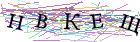 Введите текст с картинки