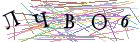 Введите текст с картинки