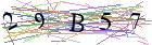 Введите текст с картинки
