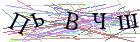 Введите текст с картинки