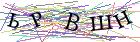 Введите текст с картинки
