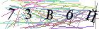 Введите текст с картинки