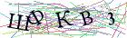 Введите текст с картинки