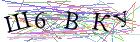Введите текст с картинки